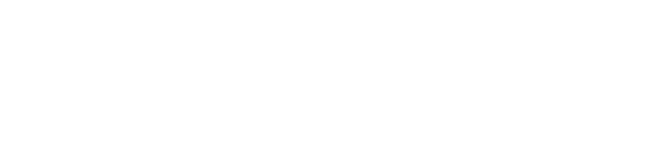 安徽新视云科技有限公司